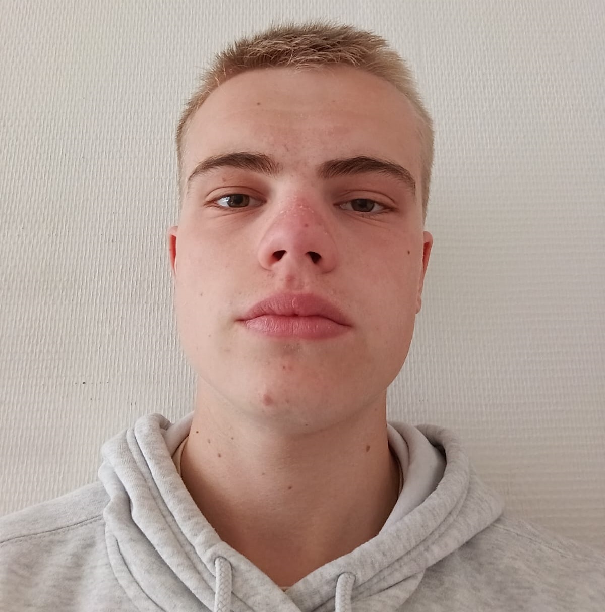 Image 17